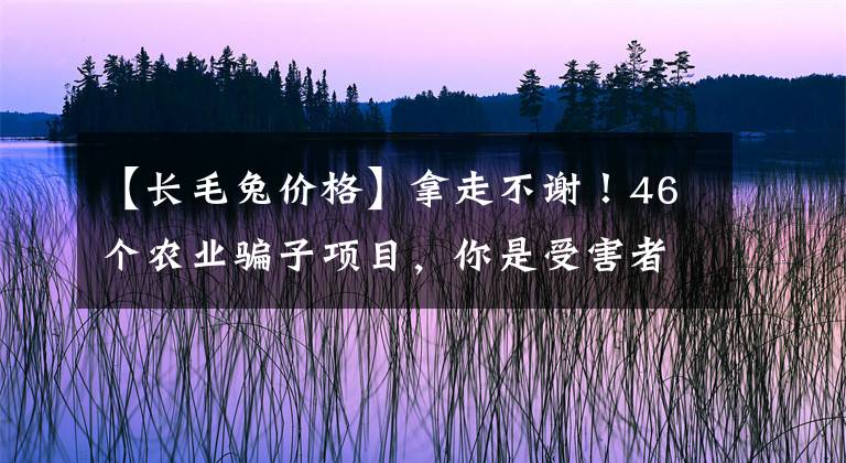 【長毛兔價(jià)格】拿走不謝！46個(gè)農(nóng)業(yè)騙子項(xiàng)目，你是受害者嗎？