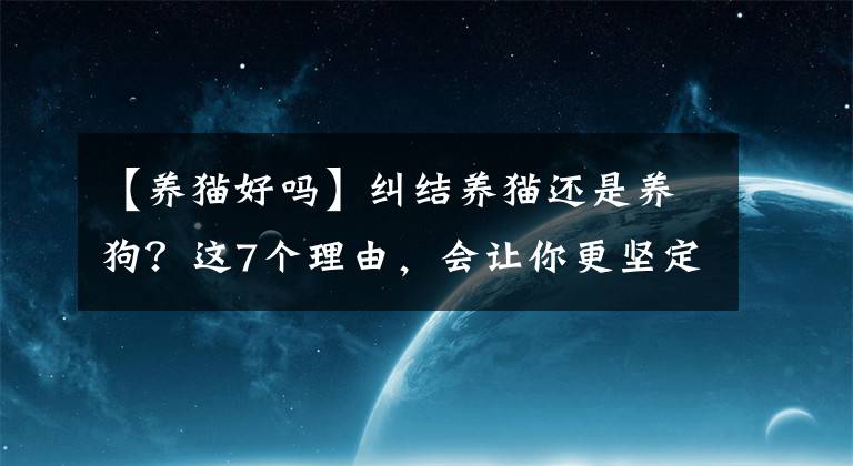 【養(yǎng)貓好嗎】糾結(jié)養(yǎng)貓還是養(yǎng)狗？這7個(gè)理由，會(huì)讓你更堅(jiān)定地選擇養(yǎng)貓