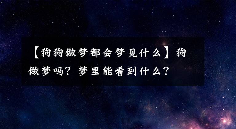 【狗狗做夢(mèng)都會(huì)夢(mèng)見(jiàn)什么】狗做夢(mèng)嗎？夢(mèng)里能看到什么？