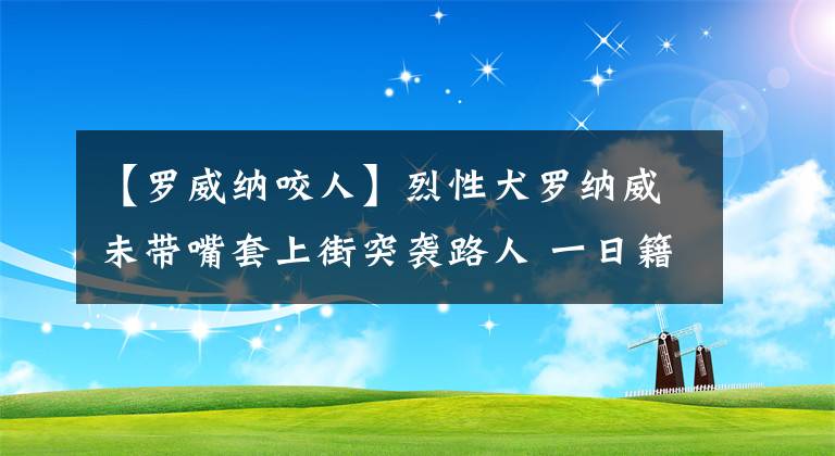 【羅威納咬人】烈性犬羅納威未帶嘴套上街突襲路人 一日籍女子手臂被咬的血肉模糊