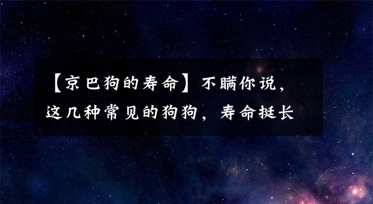 【京巴狗的壽命】不瞞你說，這幾種常見的狗狗，壽命挺長