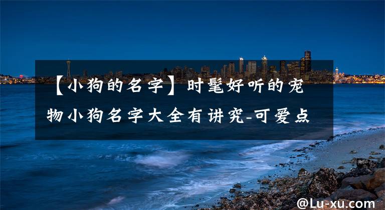 【小狗的名字】時髦好聽的寵物小狗名字大全有講究-可愛點