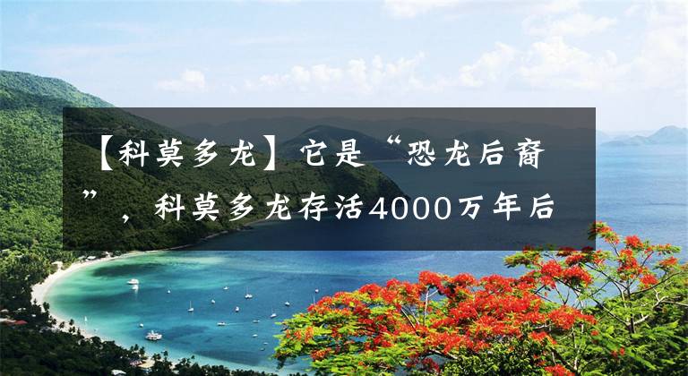 【科莫多龍】它是“恐龍后裔”，科莫多龍存活4000萬(wàn)年后終頂不住，僅剩3000只