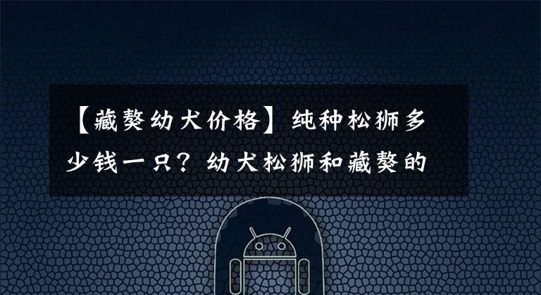 【藏獒幼犬價格】純種松獅多少錢一只？幼犬松獅和藏獒的區(qū)別？