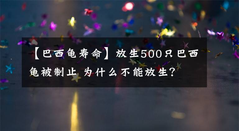 【巴西龜壽命】放生500只巴西龜被制止 為什么不能放生？