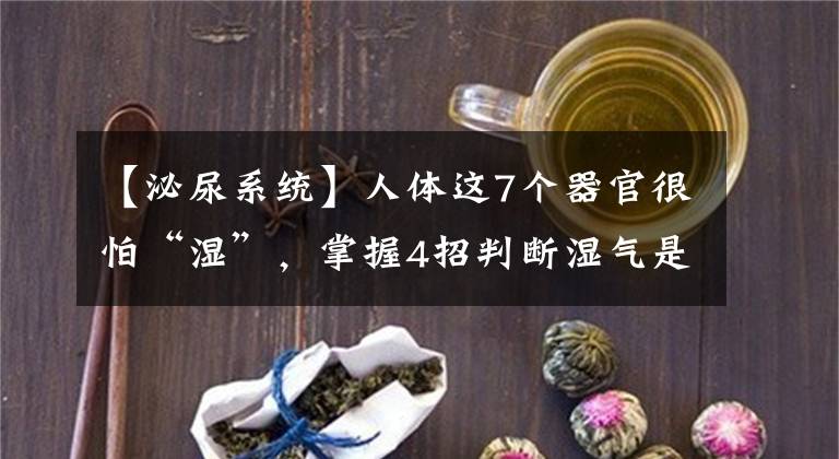 【泌尿系統(tǒng)】人體這7個器官很怕“濕”，掌握4招判斷濕氣是否超標，這份“祛濕指南”請收好