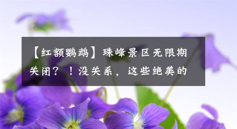 【紅額鸚鵡】珠峰景區(qū)無限期關閉？！沒關系，這些絕美的自然保護區(qū)依然堅挺