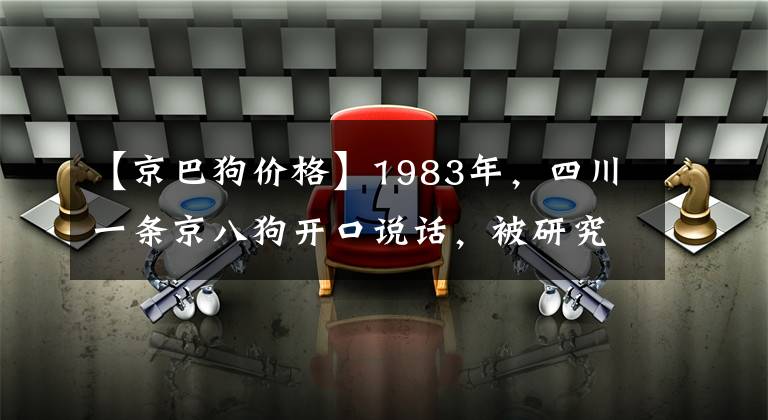 【京巴狗價(jià)格】1983年，四川一條京八狗開口說話，被研究所買去，這是真還是假