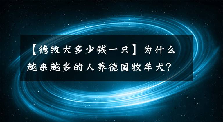 【德牧犬多少錢一只】為什么越來(lái)越多的人養(yǎng)德國(guó)牧羊犬？網(wǎng)友：養(yǎng)了之后不想換狗了