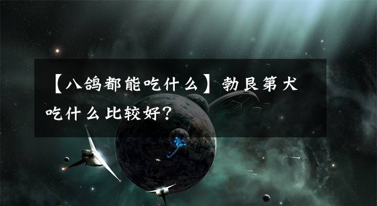 【八鴿都能吃什么】勃艮第犬吃什么比較好？