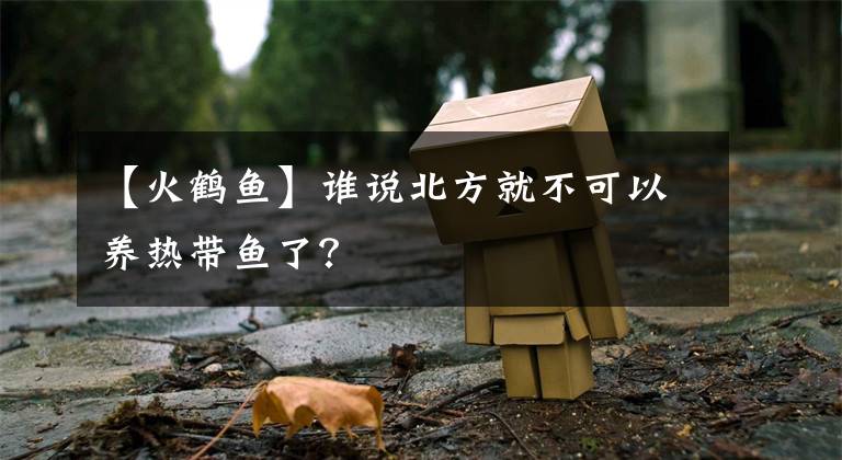 【火鶴魚】誰說北方就不可以養(yǎng)熱帶魚了？