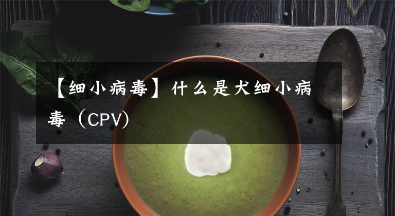 【細(xì)小病毒】什么是犬細(xì)小病毒（CPV)