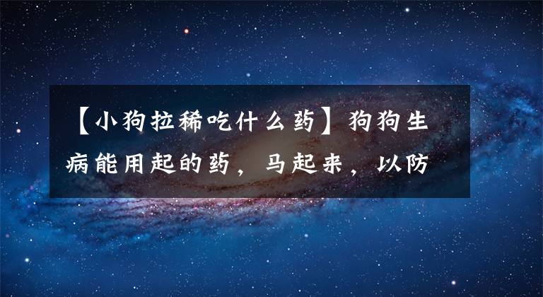 【小狗拉稀吃什么藥】狗狗生病能用起的藥，馬起來，以防萬一