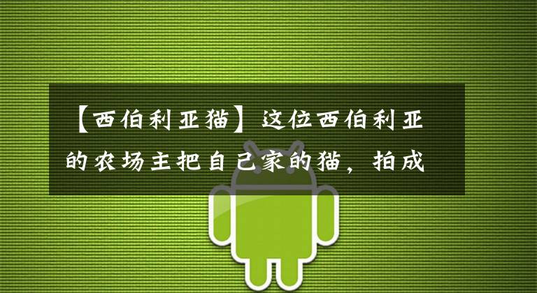 【西伯利亞貓】這位西伯利亞的農(nóng)場主把自己家的貓，拍成了凌冬將至