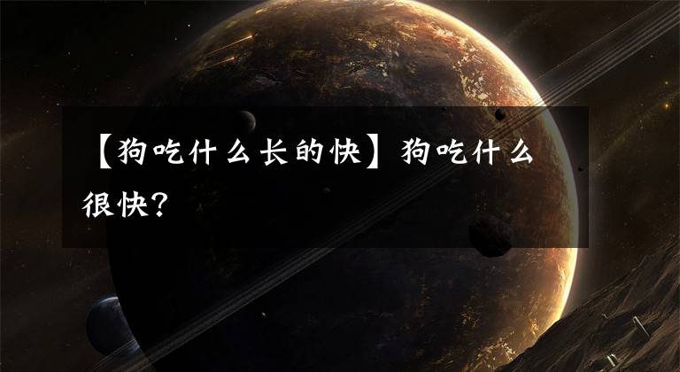 【狗吃什么長的快】狗吃什么很快？