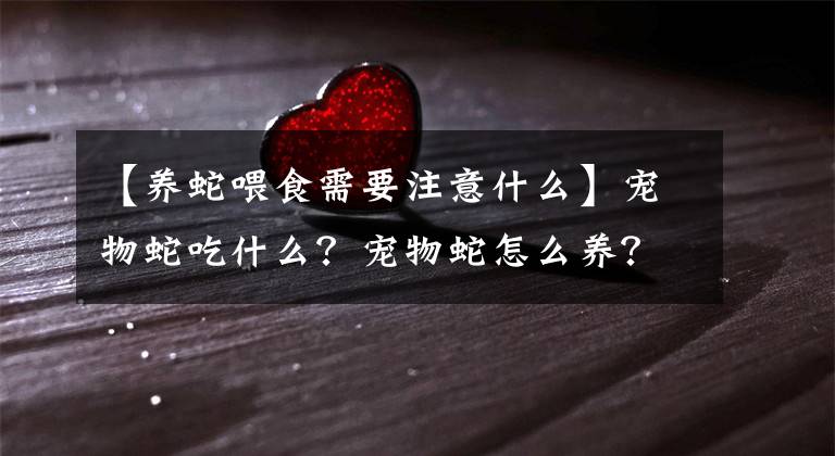 【養(yǎng)蛇喂食需要注意什么】寵物蛇吃什么？寵物蛇怎么養(yǎng)？