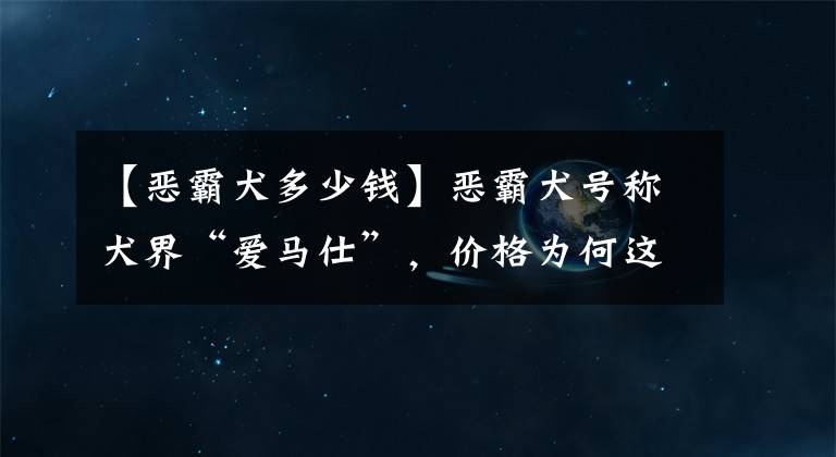 【惡霸犬多少錢】惡霸犬號稱犬界“愛馬仕”，價格為何這么貴？它到底哪里吸引人？