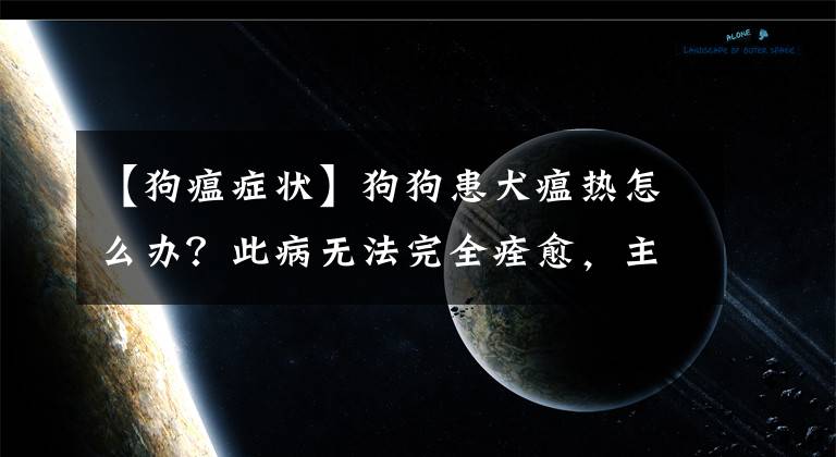 【狗瘟癥狀】狗狗患犬瘟熱怎么辦？此病無法完全痊愈，主人可按這3點(diǎn)做好預(yù)防