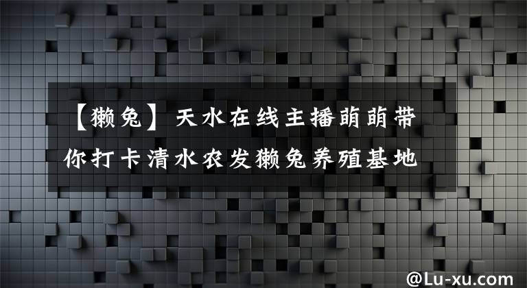 【獺兔】天水在線主播萌萌帶你打卡清水農(nóng)發(fā)獺兔養(yǎng)殖基地