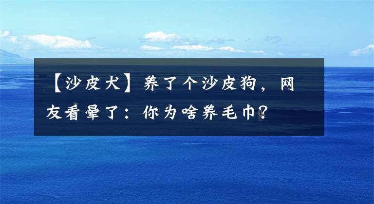 【沙皮犬】養(yǎng)了個(gè)沙皮狗，網(wǎng)友看暈了：你為啥養(yǎng)毛巾？