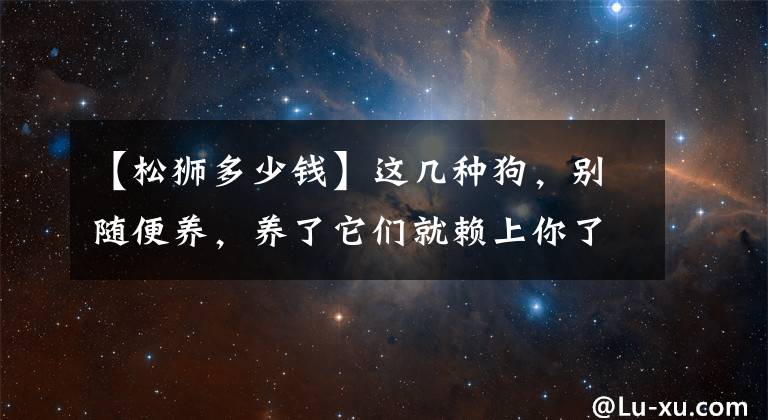 【松獅多少錢】這幾種狗，別隨便養(yǎng)，養(yǎng)了它們就賴上你了