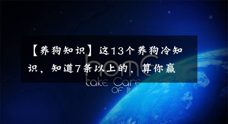 【養(yǎng)狗知識】這13個養(yǎng)狗冷知識，知道7條以上的，算你贏