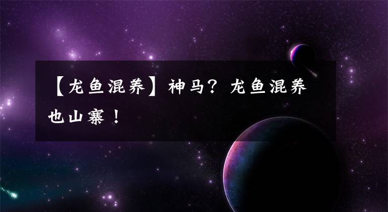 【龍魚混養(yǎng)】神馬？龍魚混養(yǎng)也山寨！