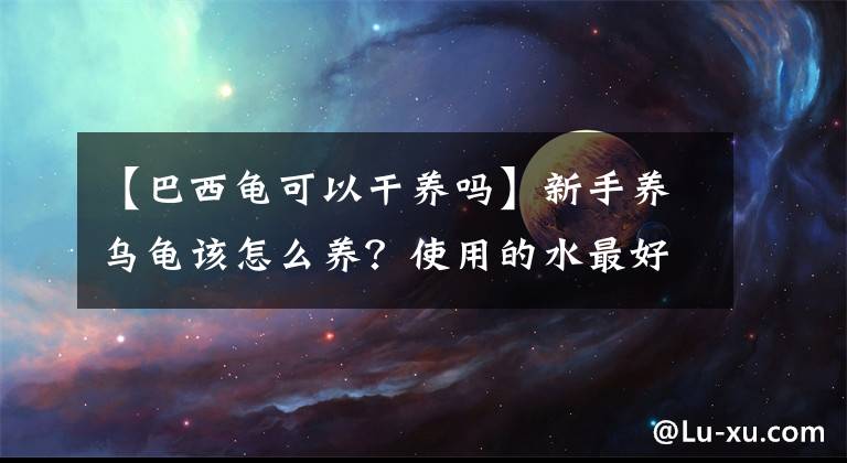 【巴西龜可以干養(yǎng)嗎】新手養(yǎng)烏龜該怎么養(yǎng)？使用的水最好在太陽下曬過