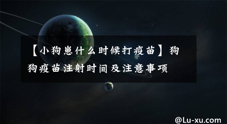 【小狗崽什么時候打疫苗】狗狗疫苗注射時間及注意事項