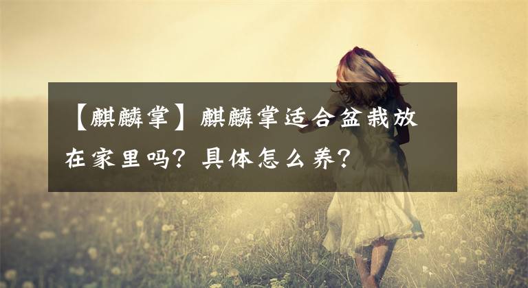 【麒麟掌】麒麟掌適合盆栽放在家里嗎？具體怎么養(yǎng)？