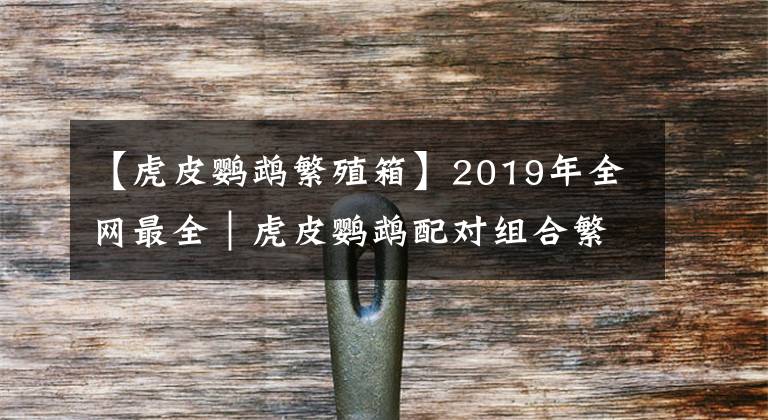 【虎皮鸚鵡繁殖箱】2019年全網(wǎng)最全｜虎皮鸚鵡配對(duì)組合繁殖表【收藏】