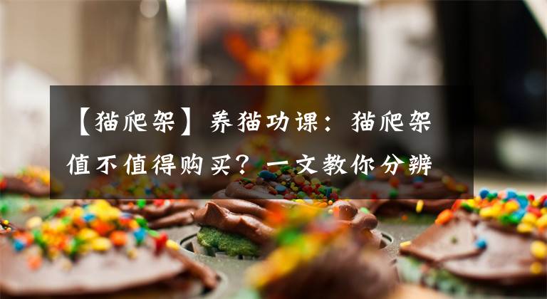 【貓爬架】養(yǎng)貓功課：貓爬架值不值得購買？一文教你分辨貓爬架的功能和結(jié)構(gòu)