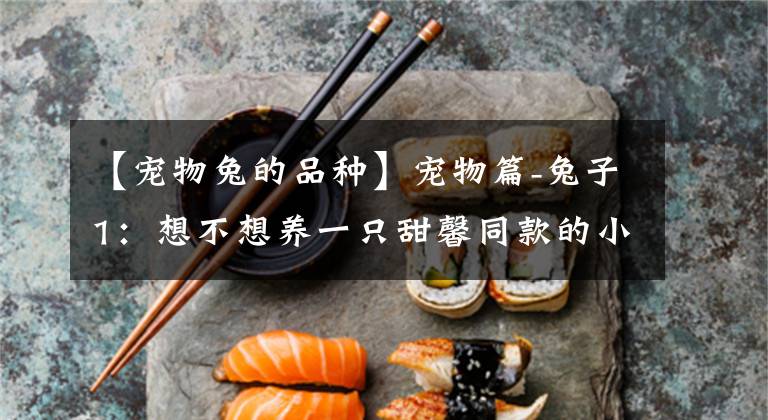 【寵物兔的品種】寵物篇-兔子1：想不想養(yǎng)一只甜馨同款的小兔兔呢~來來來~這里有大量萌兔奉上~