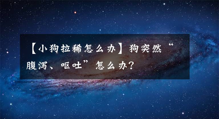 【小狗拉稀怎么辦】狗突然“腹瀉、嘔吐”怎么辦？