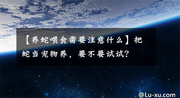 【養(yǎng)蛇喂食需要注意什么】把蛇當寵物養(yǎng)，要不要試試？