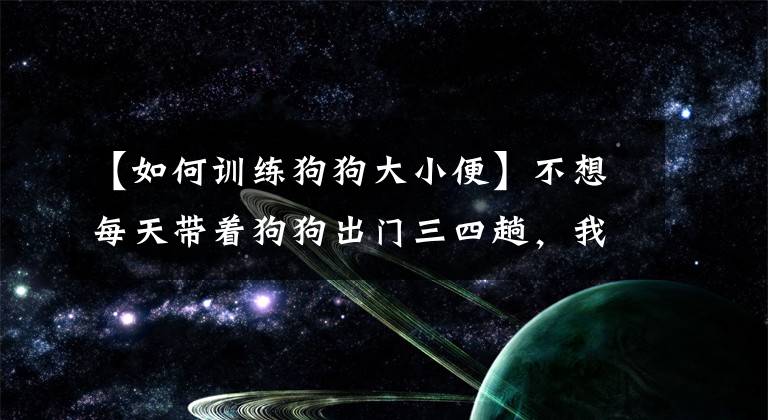 【如何訓(xùn)練狗狗大小便】不想每天帶著狗狗出門三四趟，我們?cè)撊绾斡?xùn)練狗狗進(jìn)行定點(diǎn)大小便