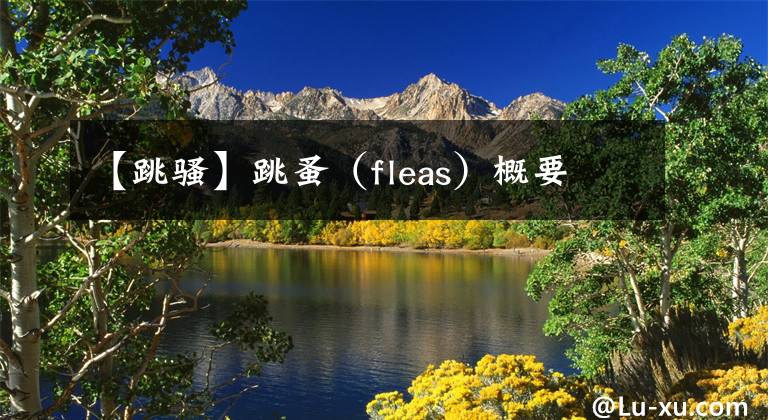 【跳騷】跳蚤（fleas）概要