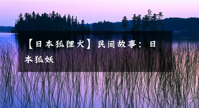 【日本狐貍?cè)棵耖g故事：日本狐妖