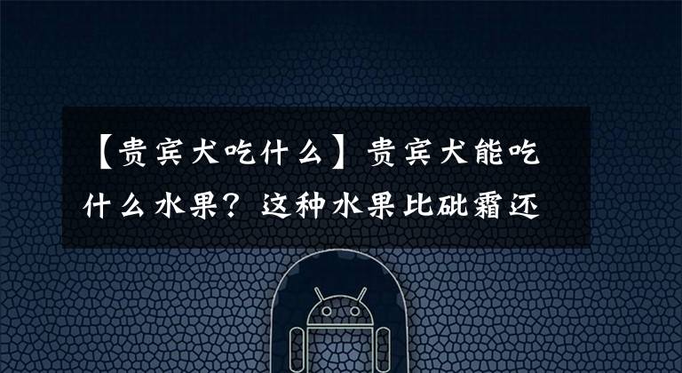 【貴賓犬吃什么】貴賓犬能吃什么水果？這種水果比砒霜還毒，一定要遠(yuǎn)離！