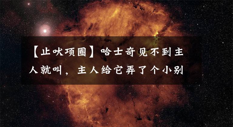 【止吠項(xiàng)圈】哈士奇見(jiàn)不到主人就叫，主人給它弄了個(gè)小別墅，它竟然從別墅逃跑