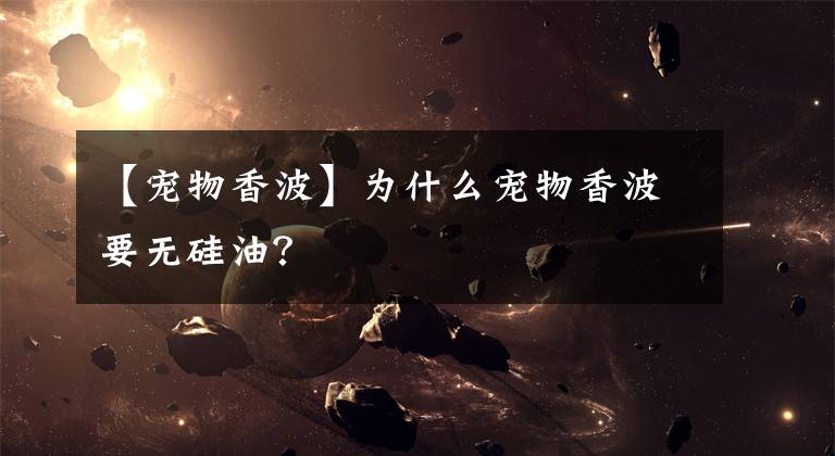 【寵物香波】為什么寵物香波要無硅油？