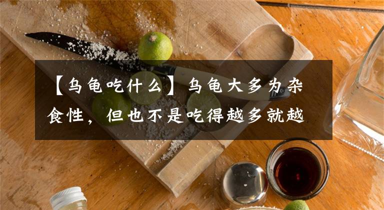 【烏龜吃什么】烏龜大多為雜食性，但也不是吃得越多就越好，烏龜吃什么長(zhǎng)得快