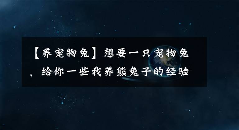 【養(yǎng)寵物兔】想要一只寵物兔，給你一些我養(yǎng)熊兔子的經(jīng)驗(yàn)