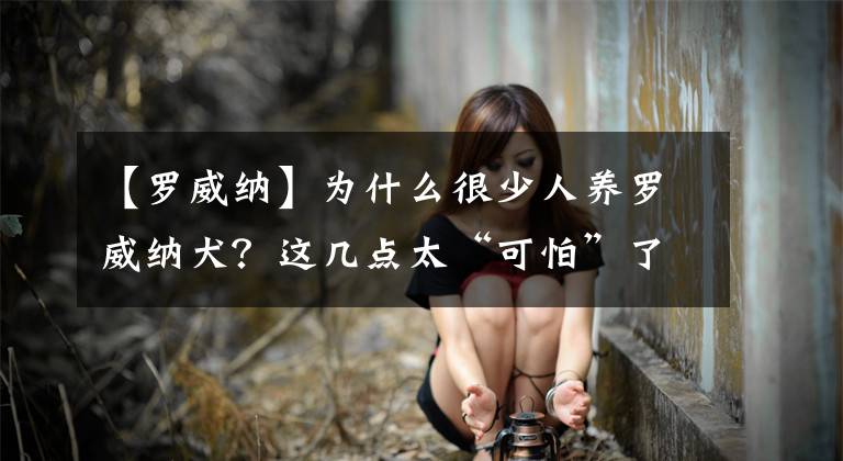 【羅威納】為什么很少人養(yǎng)羅威納犬？這幾點太“可怕”了