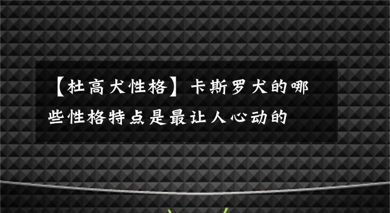 【杜高犬性格】卡斯羅犬的哪些性格特點是最讓人心動的