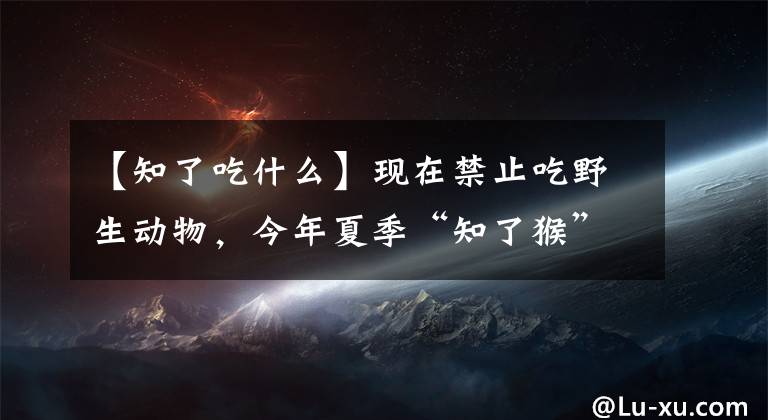 【知了吃什么】現(xiàn)在禁止吃野生動物，今年夏季“知了猴”還能吃嗎？有危害嗎？