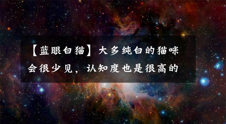 【藍(lán)眼白貓】大多純白的貓咪會(huì)很少見(jiàn)，認(rèn)知度也是很高的，純白貓咪有什么品種