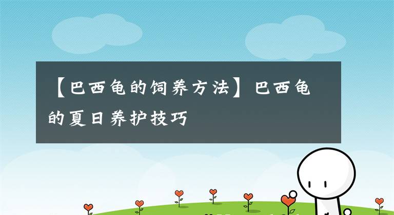 【巴西龜?shù)娘曫B(yǎng)方法】巴西龜?shù)南娜震B(yǎng)護(hù)技巧