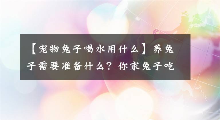 【寵物兔子喝水用什么】養(yǎng)兔子需要準備什么？你家兔子吃什么？