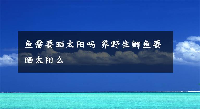 魚需要曬太陽嗎 養(yǎng)野生鯽魚要曬太陽么